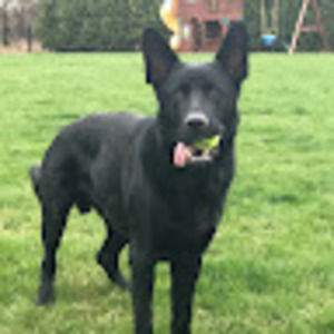 Meet your Posher, Andrew